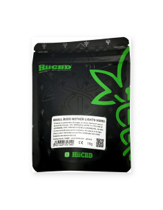 Flor CBD Northern Lights Small Buds Hidropónica 10 g HiiCBD | CBD Green 420
