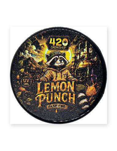 Lemon Punch CBD Hash Limited Edition 2 g | CBD Green 420