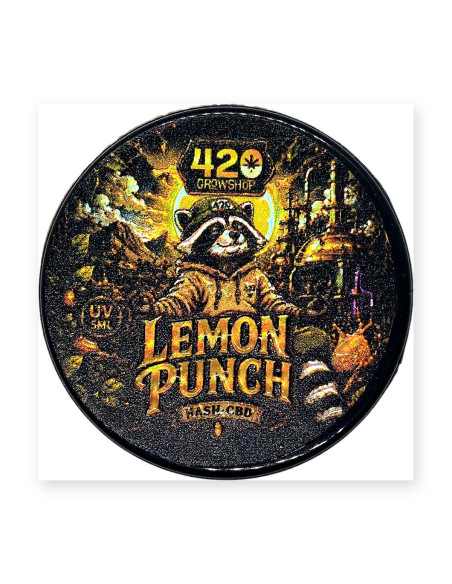 Hash CBD Lemon Punch Edición Limitada 2 g | CBD Green 420