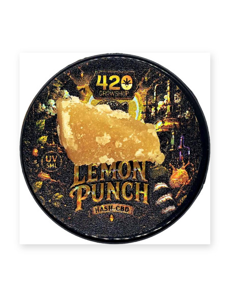 Hash CBD Lemon Punch Edición Limitada 2 g | CBD Green 420