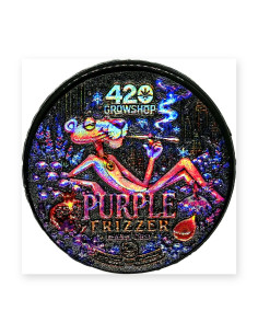 Purple Frizzer CBD Hash Limited Edition 2 g | CBD Green 420