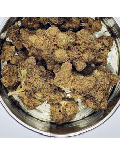 Flor CBD Banana Kush Indoor Cannabis Light Spain | CBD Green 420 2