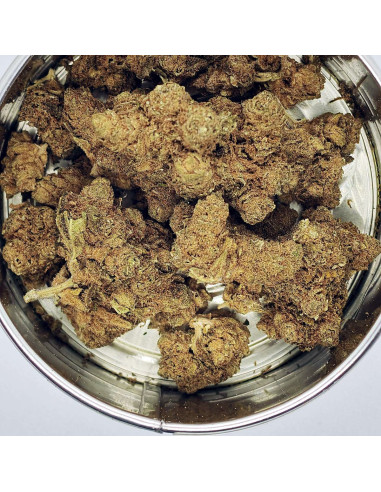 Flor CBD Banana Kush Indoor Cannabis Light Spain | CBD Green 420