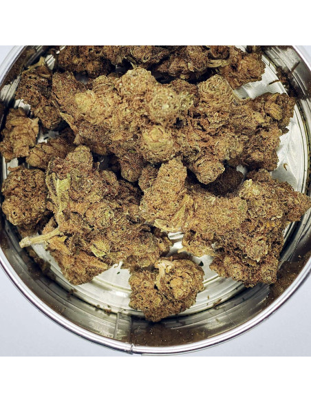 Banana Kush Indoor CBD Flower | CBD Green 420