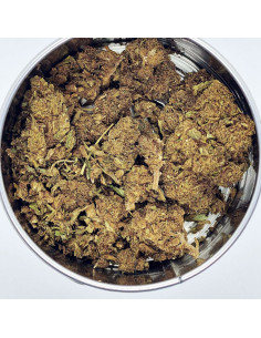 Flor CBD Blue Cheese Premium Cannabis Light Spain | CBD Green 420 2