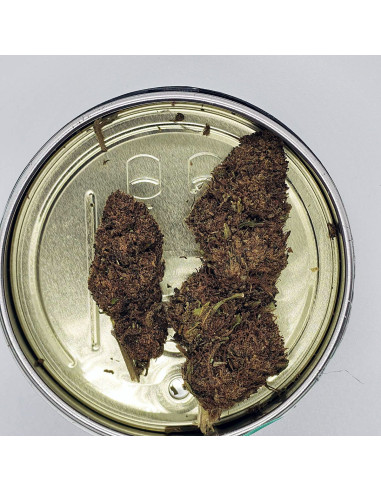 Flor CBD OG Kush Premium Cannabis Light Spain | CBD Green 420