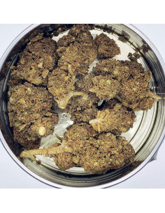 Flor CBD Orange Bud Indoor Cannabis Light Spain | CBD Green 420 2