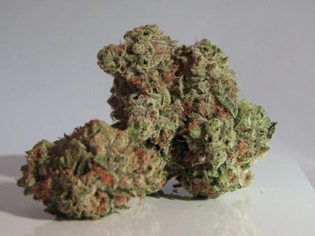 How to store CBD flowers so they keep their aroma